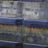 Rubber SD-Fenders