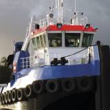Rubber SD-Fenders